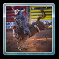 IMG_3581-Edit-3