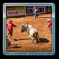 IMG_3897-1