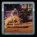 IMG_3920-1