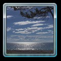 IMG_0531 fin