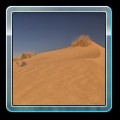 IMG_1377 fin