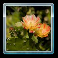 IMG_4872 fin