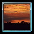 Typical Australian mallee sunset