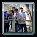 IMG_3434 fin
